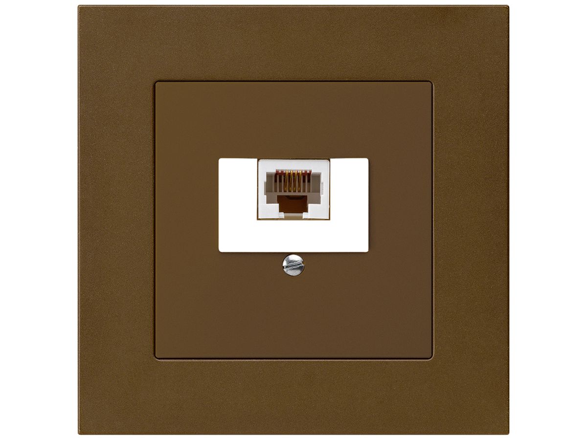 UP-Dose kallysto.pro 1×RJ45u braun