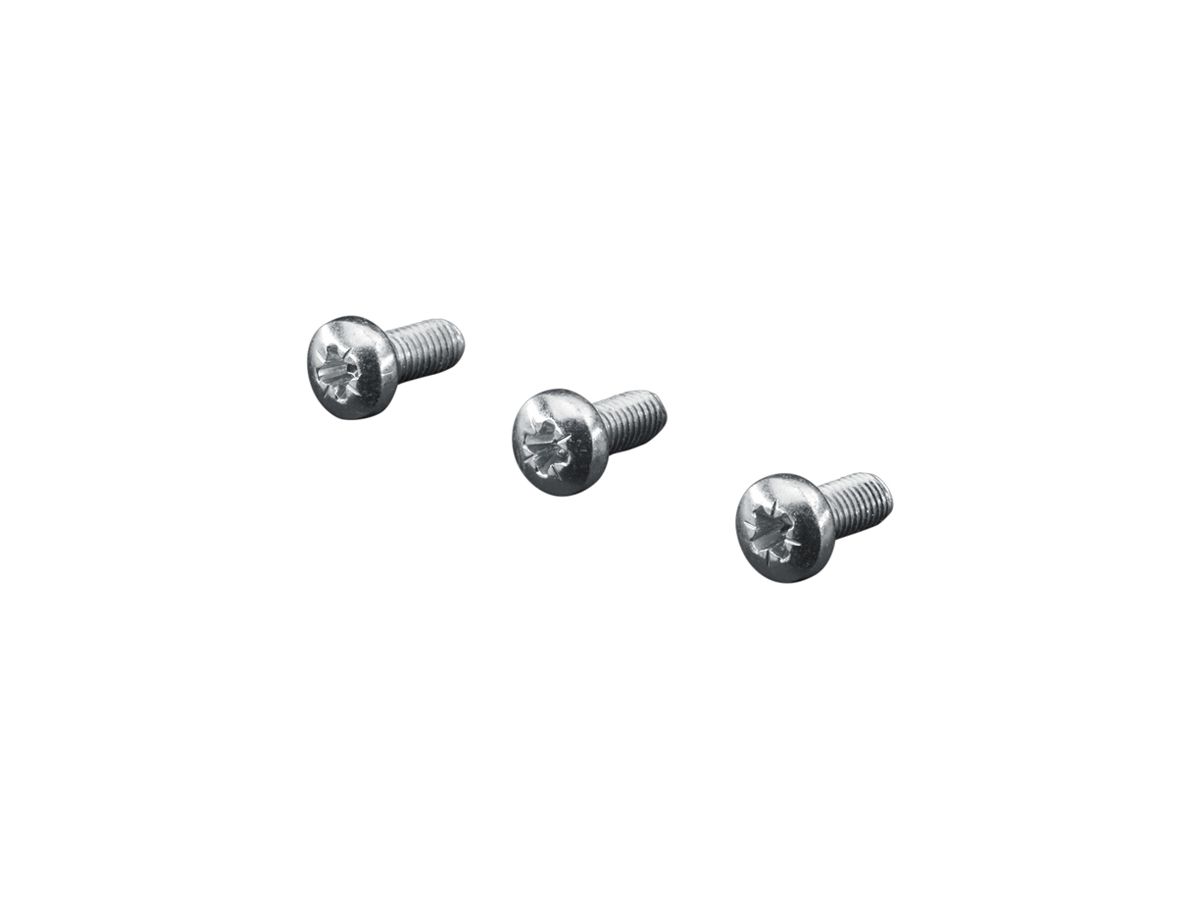 Schraube Rittal SZ 2489.000 12mm PH M5 Linsenkopf 500Stk