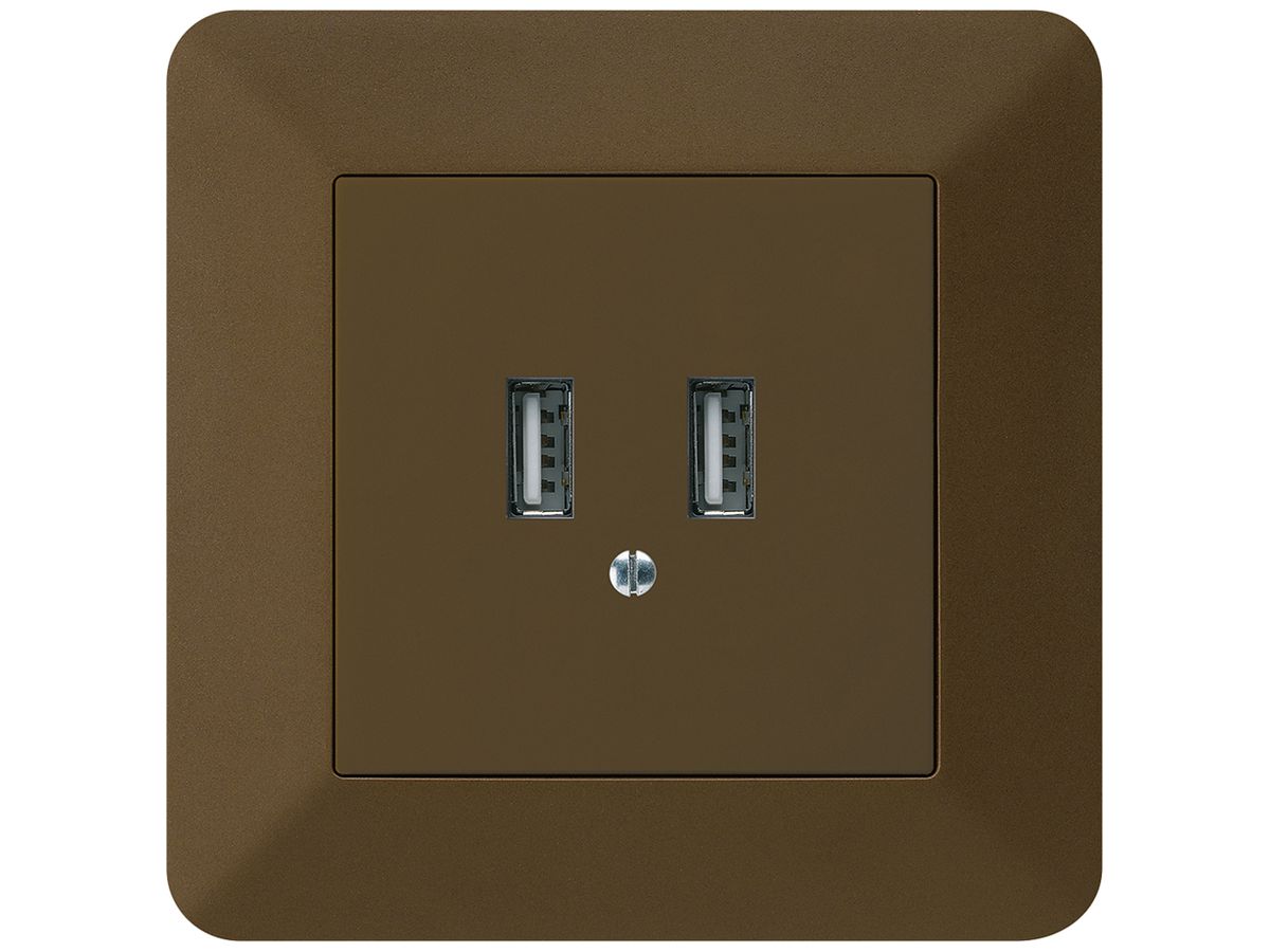 UP-USB-Ladesteckdose Hager kallysto.trend 240V 2400mA braun