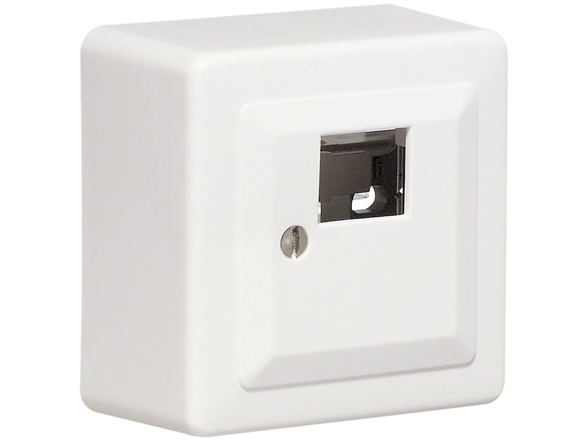 AP-Dose 60×60 für 2×RJ45 weiss R&M swissline, T=33mm