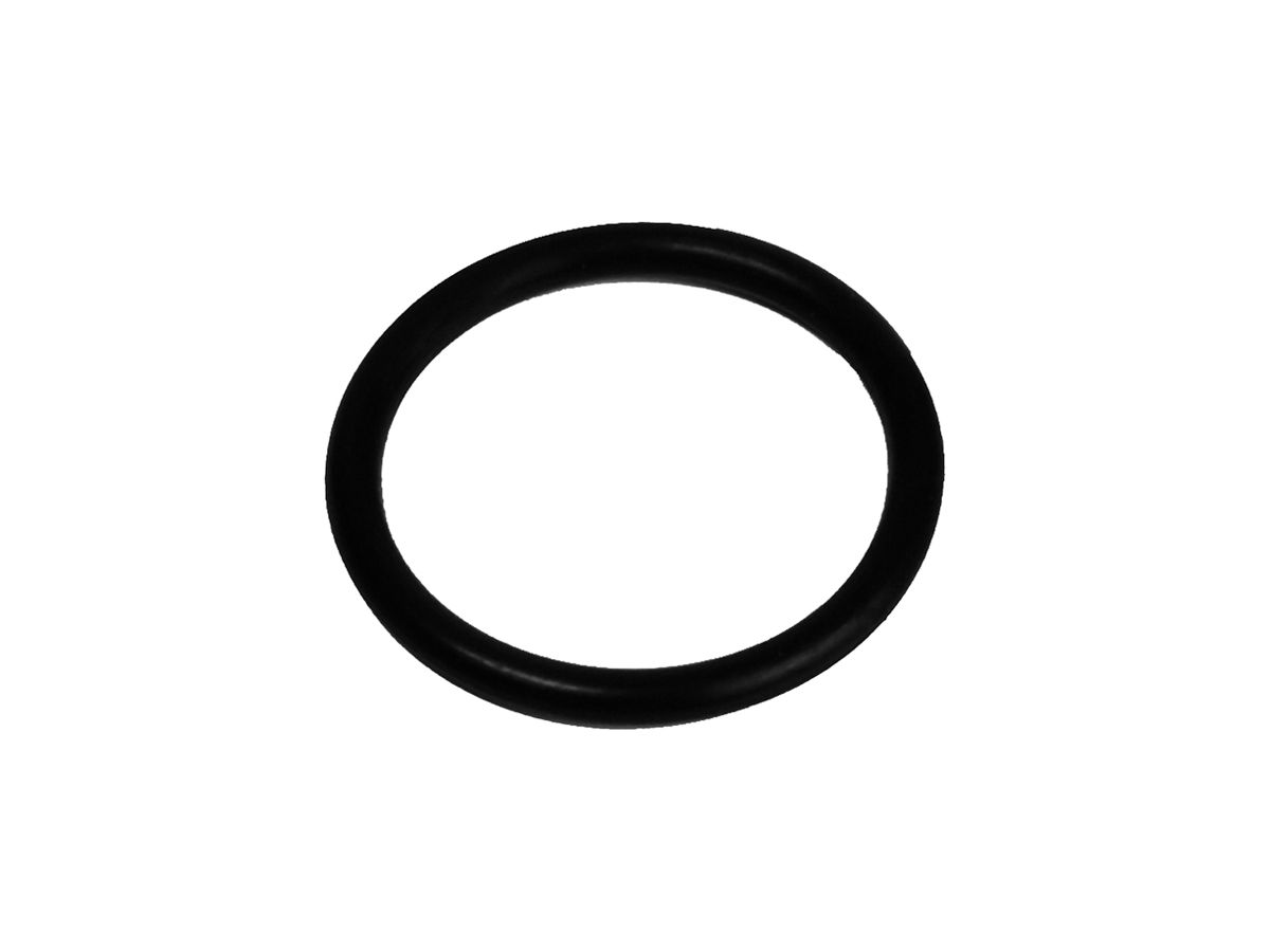 O-Ring NBR für M75