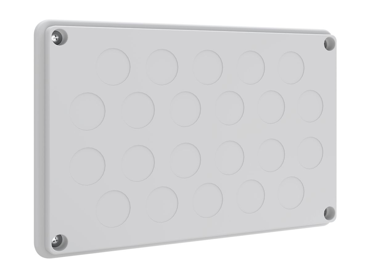 Kabeleinführungsplatte Schneider Electric Prisma XS 22×M25