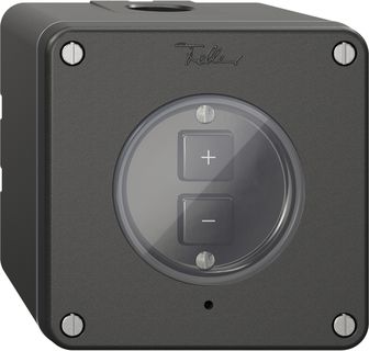 AP-Nebenstelle 1K/2T zu Dimmer NEVO Wiser schwarz