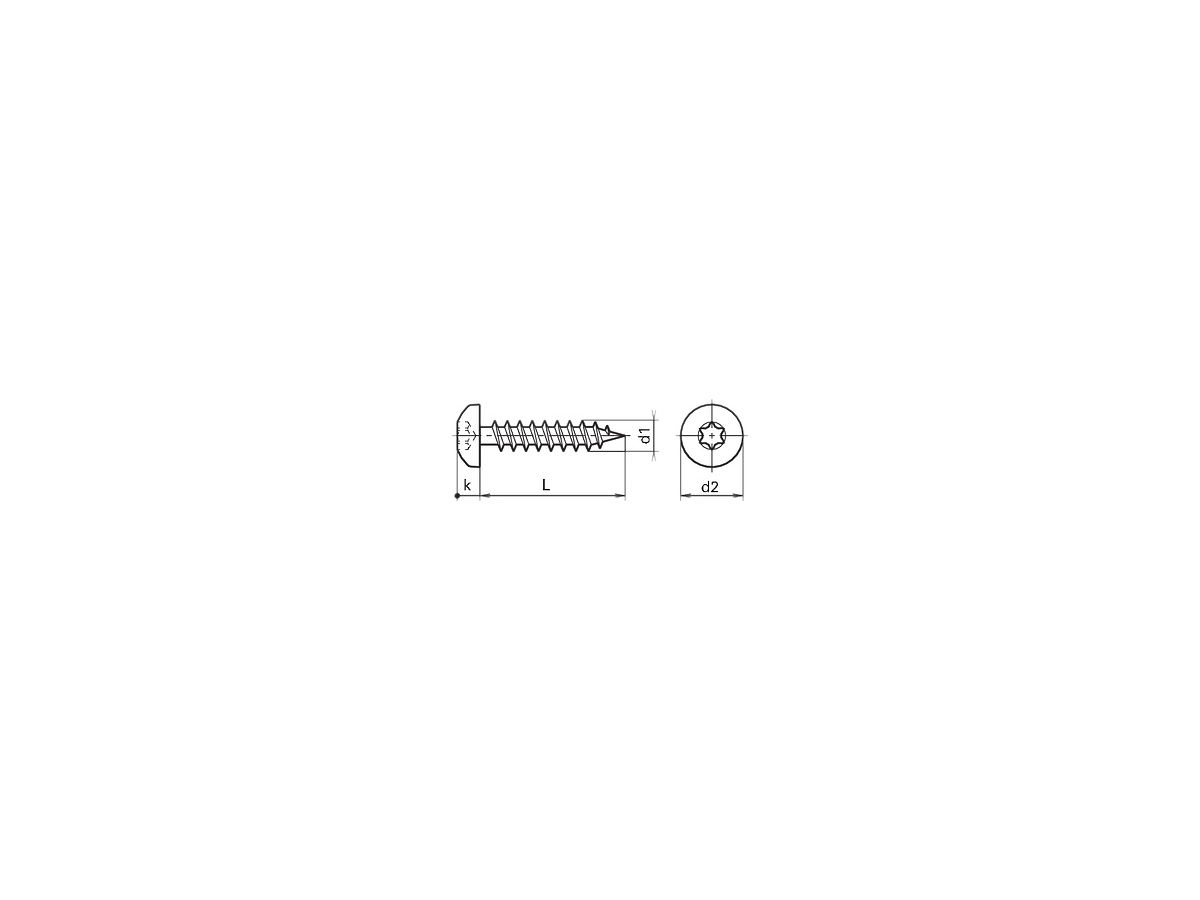 Rundkopf-Spanplattenschraube Torx 4×25mm