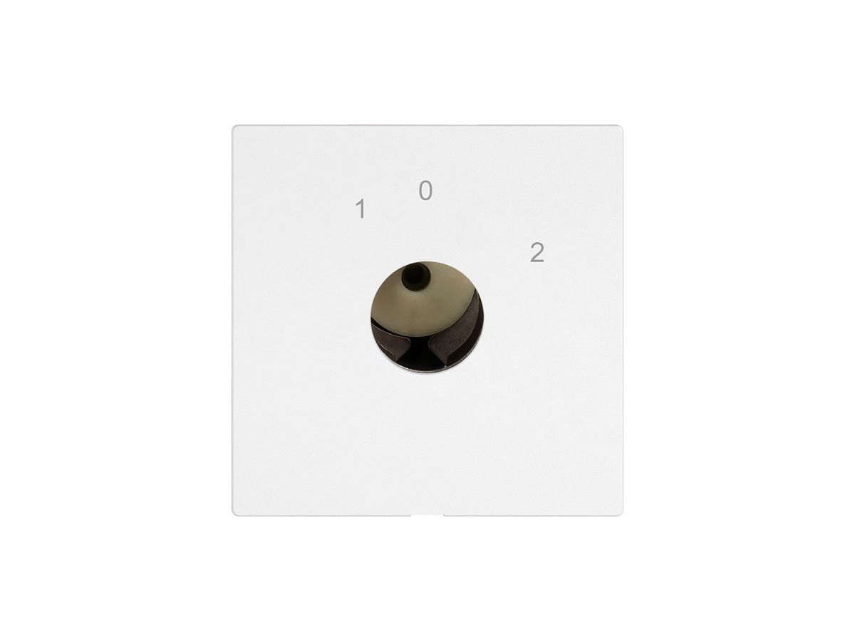 Schlüsselschalter EDIZIO.liv für KABA 1514 m.1×Rückz.3P 1-0-2 T=77mm ws