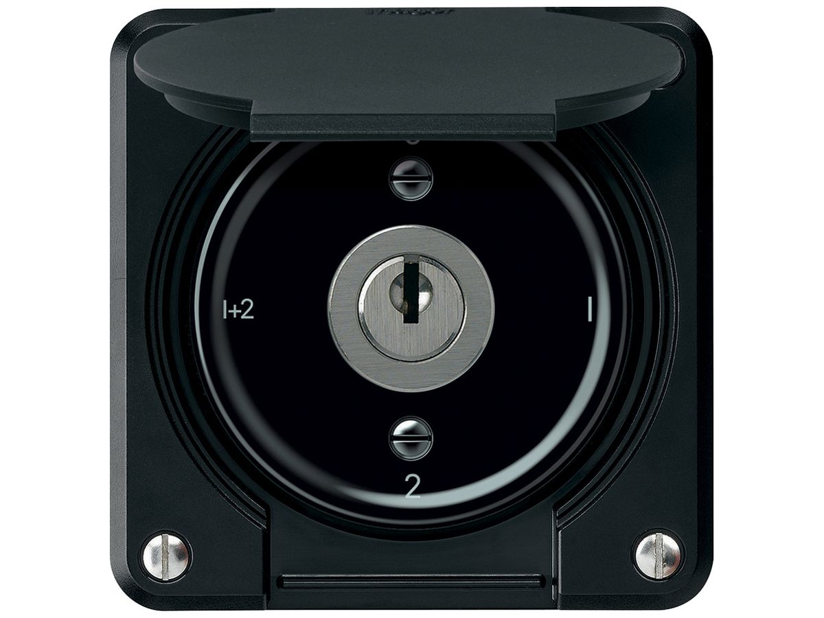 Schlüsselschalter robusto Serienschalter 16A 250V 86×86mm schwarz