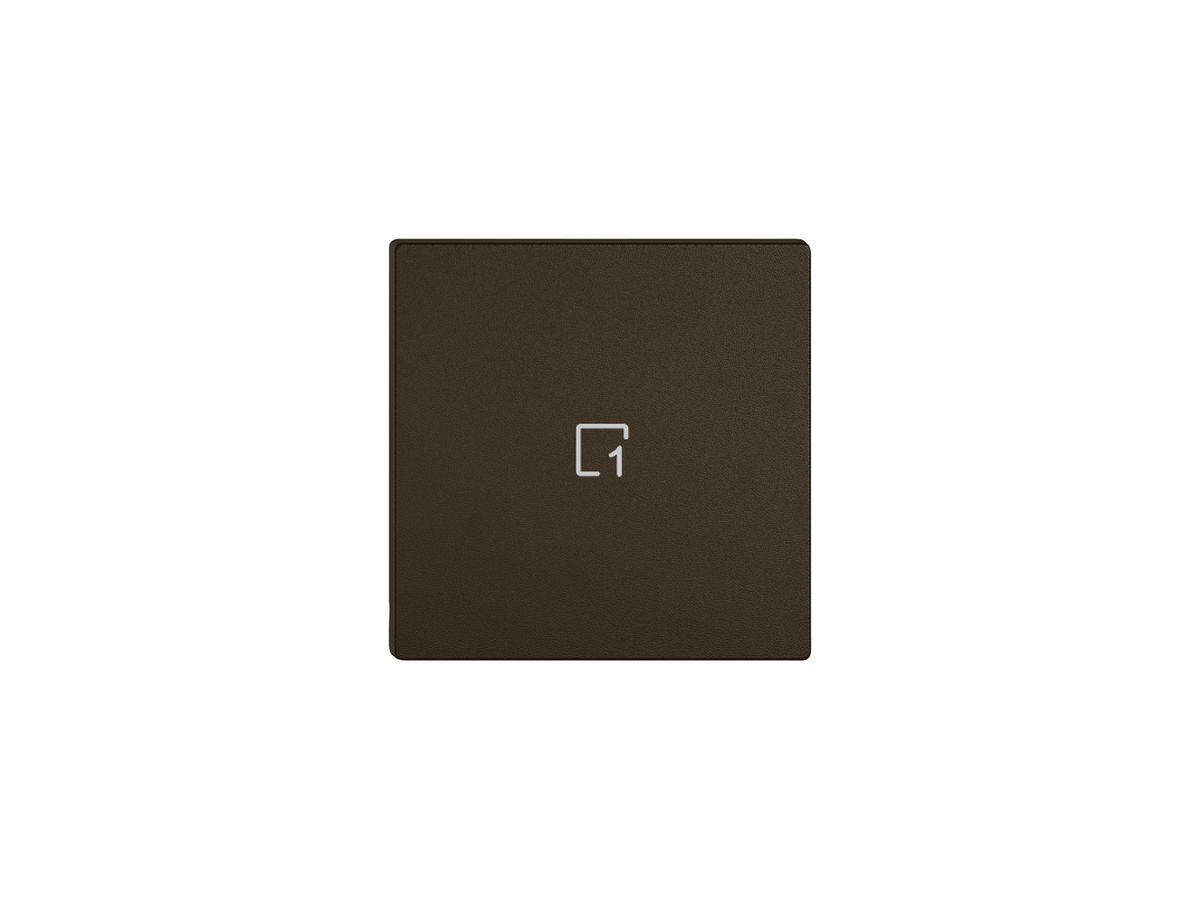 Taste 1/1 EDIZIO.liv Wiser mit SNAPFIX® mit Symbol Szene 1 br
