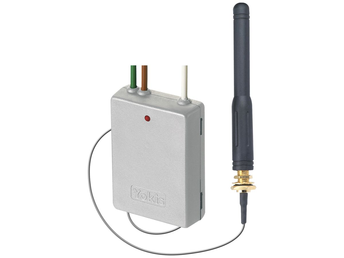 RF-Sender Yokis 2-Kanal 2.4GHz mit Antenne