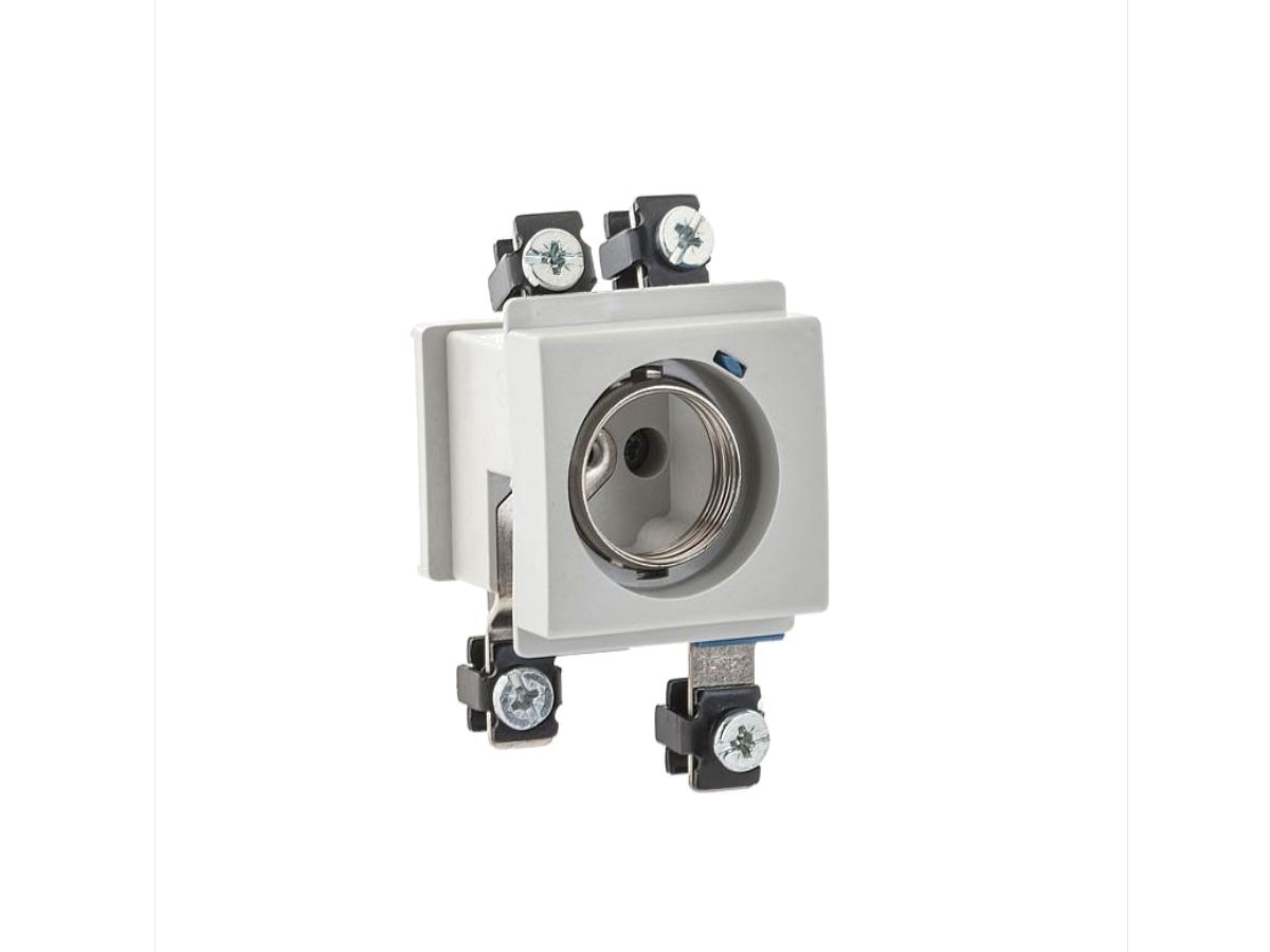 Sicherungselement BK BSN2510 L3 - 1L+N / DII 25A / DIN-Ausschnitt