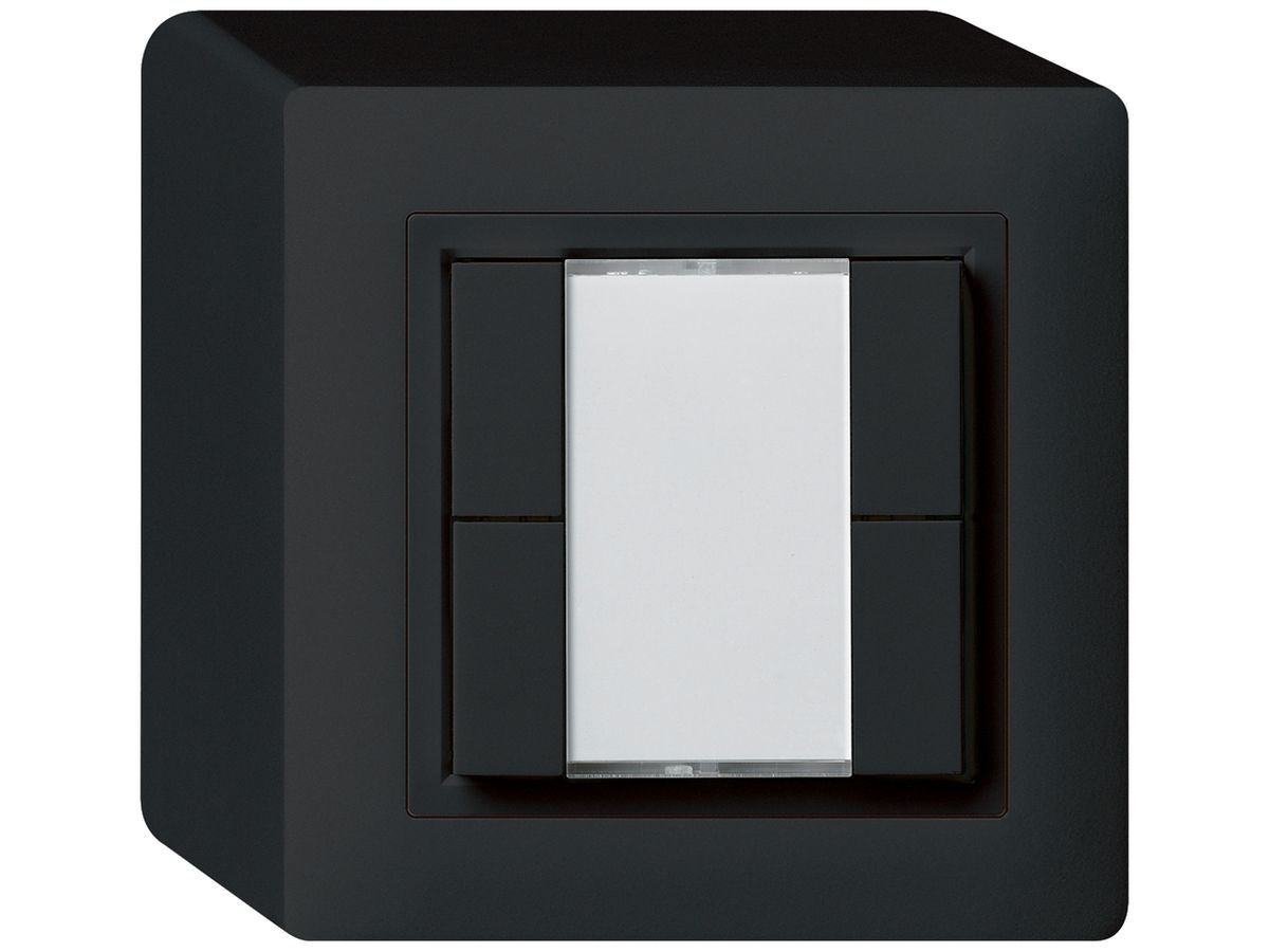 AP-Universaltaster 4×kallysto mit LED schwarz