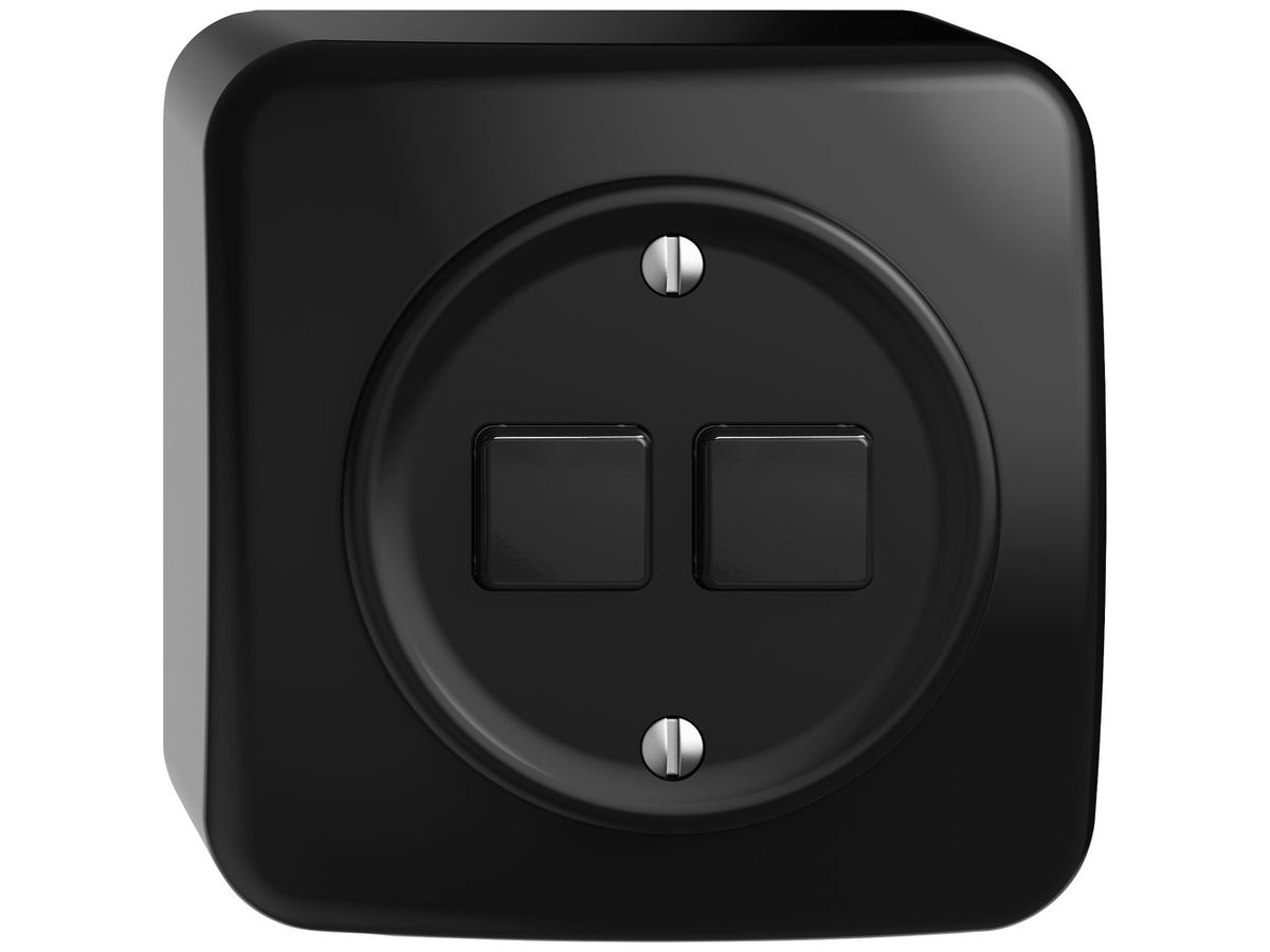 AP-Druckschalter STANDARDdue Wiser SNAPFIX® 2 Kanal 2 Tasten sz