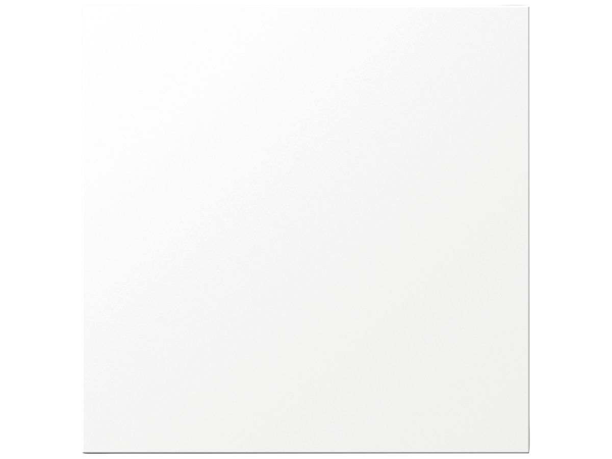 Blind-Modul Siedle systemunabhängig Kunststoff weiss
