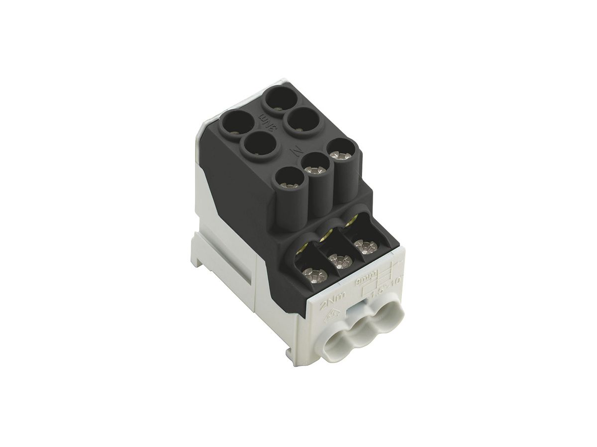 Verteilerblock WM WPD 100 2×25/6×10mm² 101A 690V TS35 schwarz