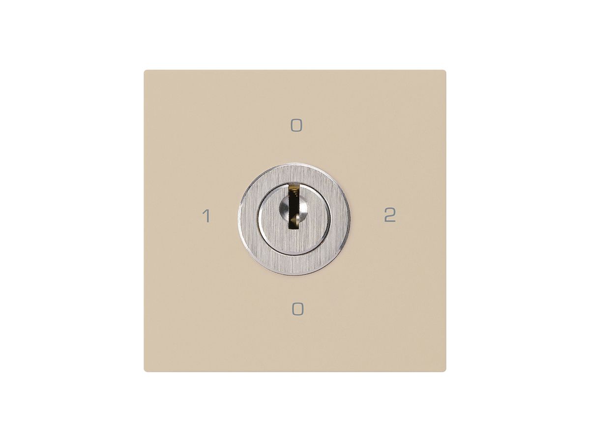 Einsatz zu Schlüsselschalter kallysto 2/1L beige mit Schloss Kaba 8