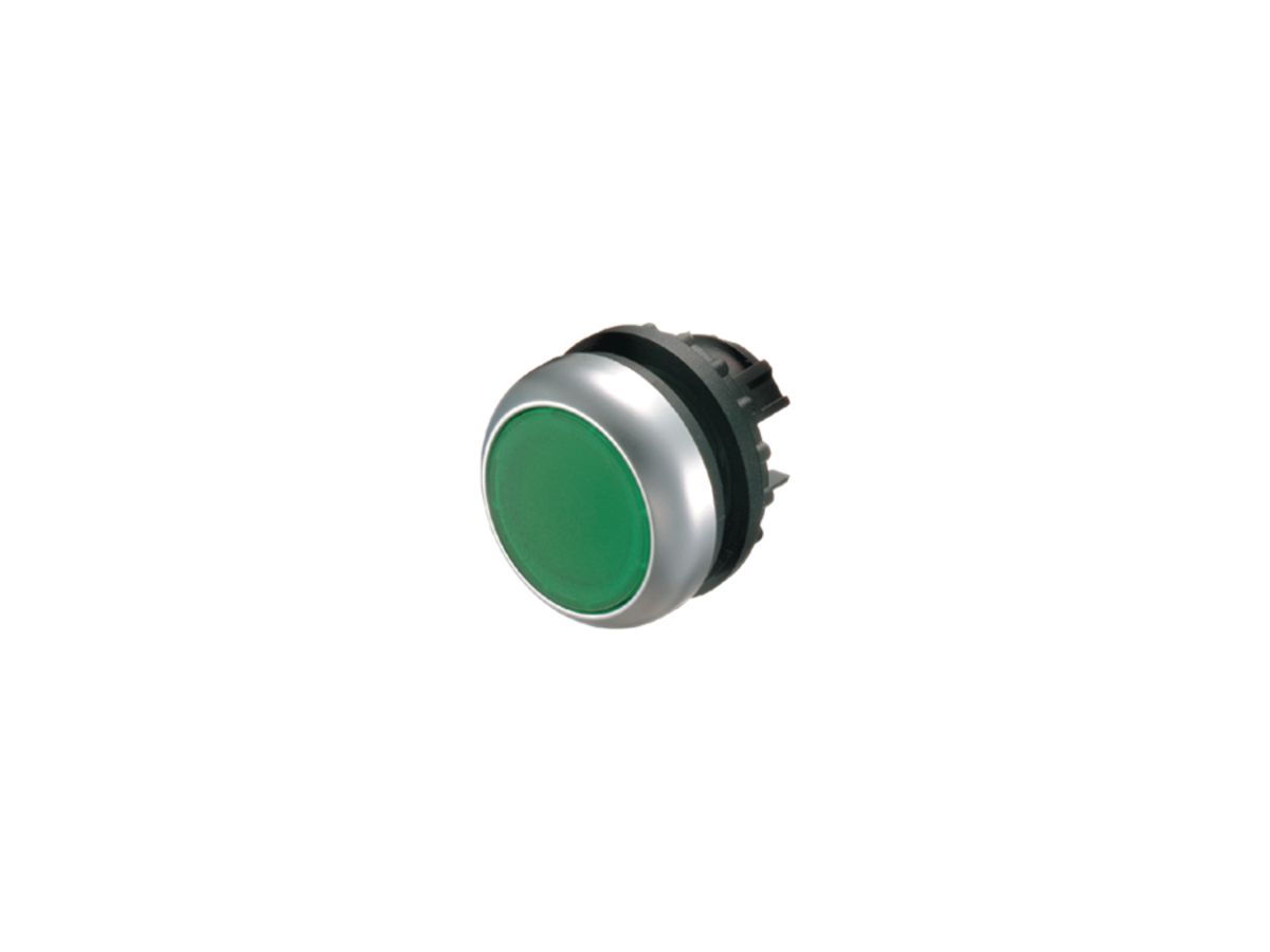 Leucht-Drucktaste ETN RMQ flach grün, rastend, Ring verchromt