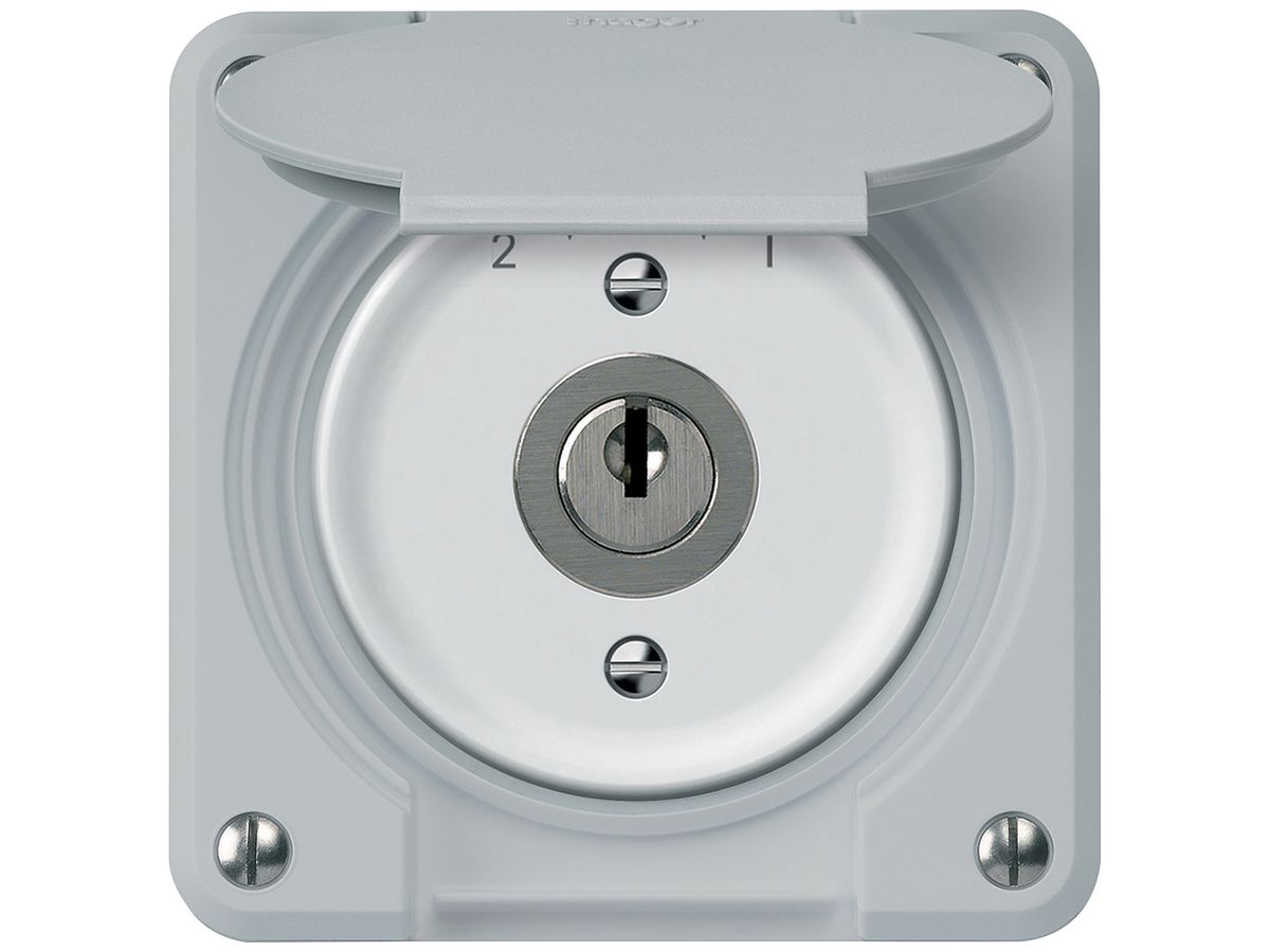 UP-Schlüsselschwenktaster robusto 1P 2NO 2CO 20A 250V 86×86mm grau