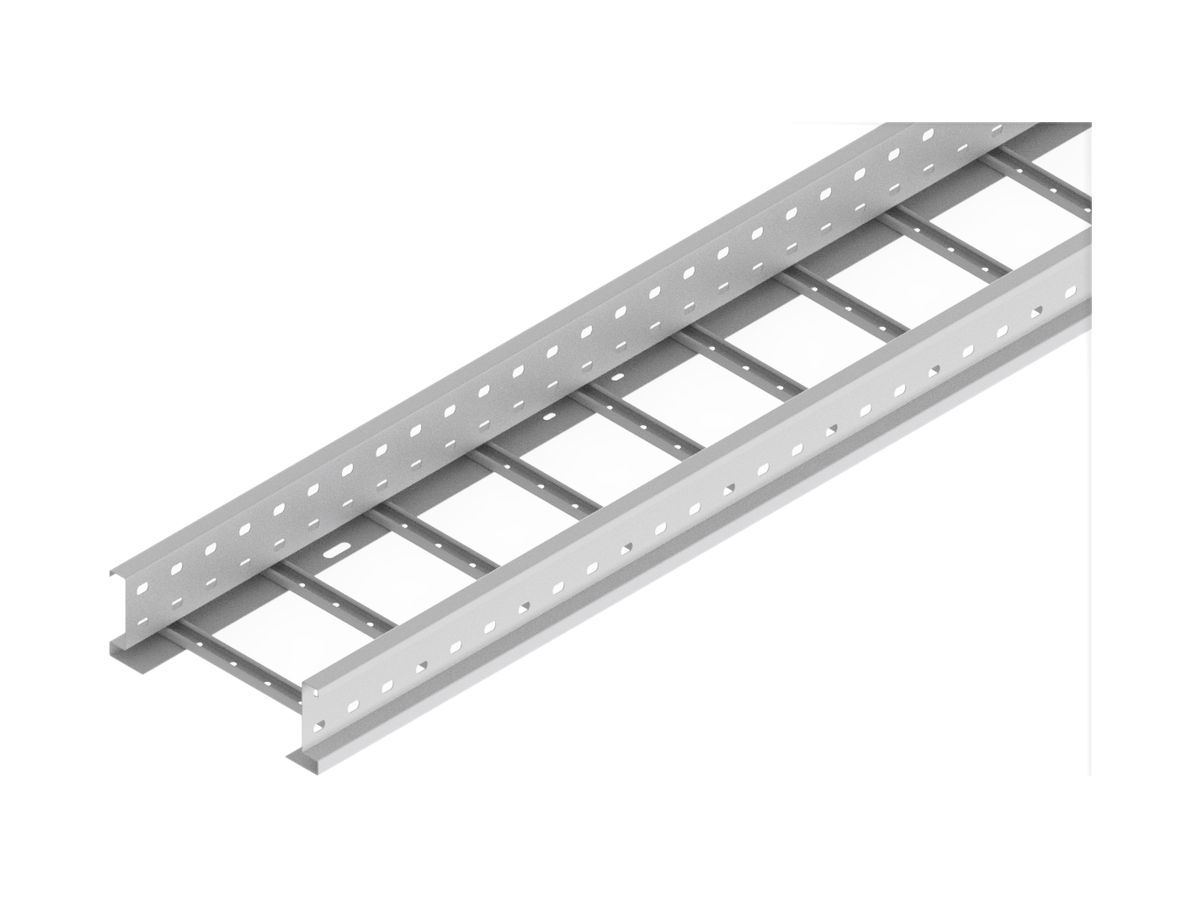 Multibahn Lanz 400×110mm L=3m