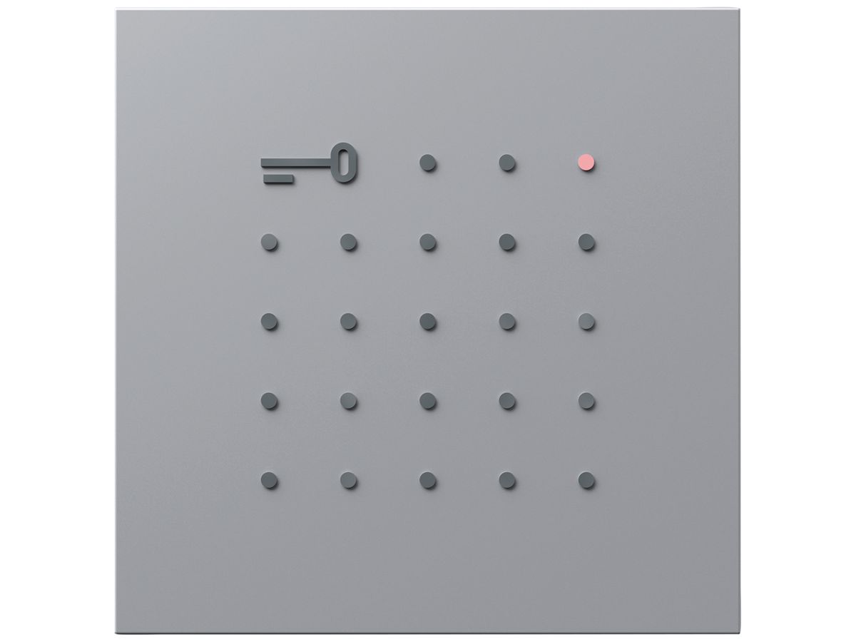 Transponder-Lese-Modul Siedle systemunabhängig 12V AC/DC silber