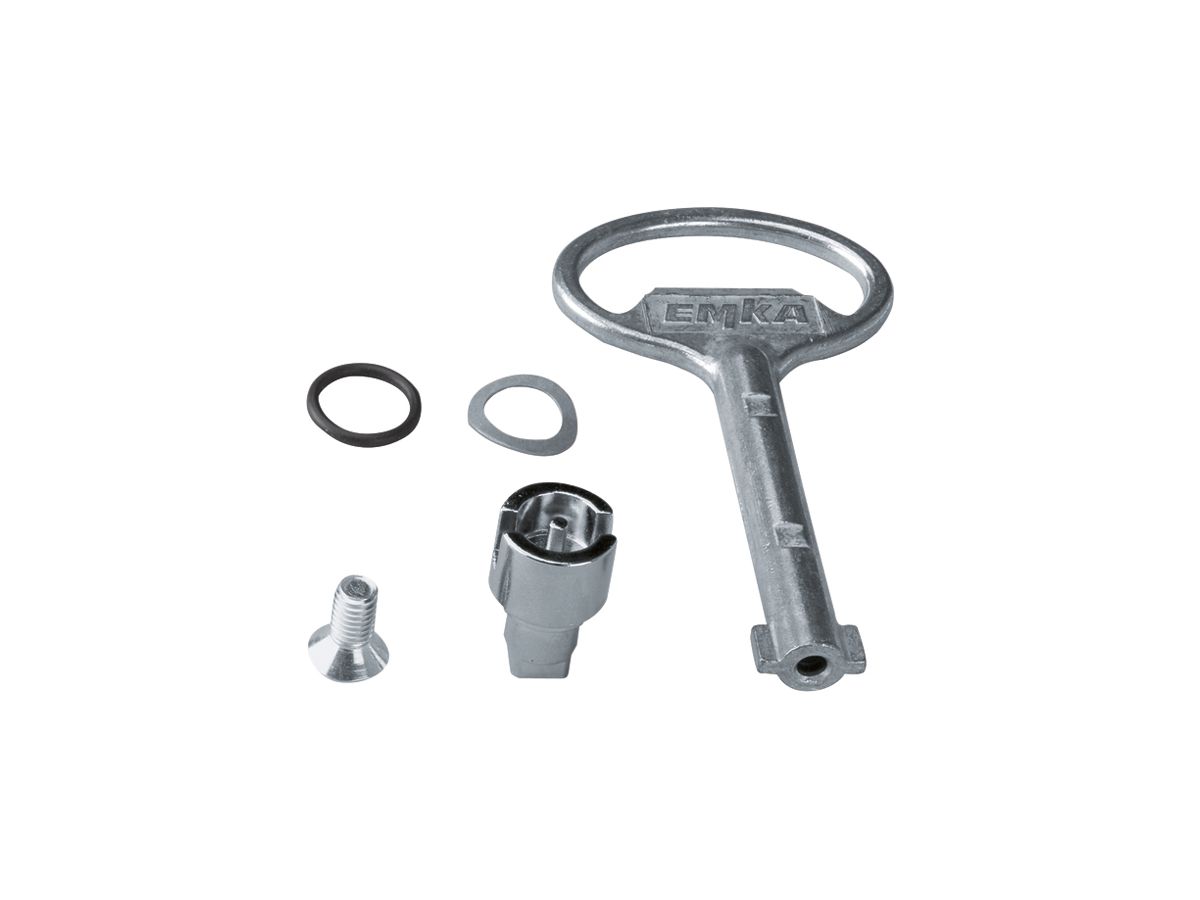 Schliessung Hager Univers Doppelbart 3mm 1 Schlüssel für Schrank IP54