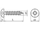 Rundkopf-Spanplattenschraube Torx 4×40mm