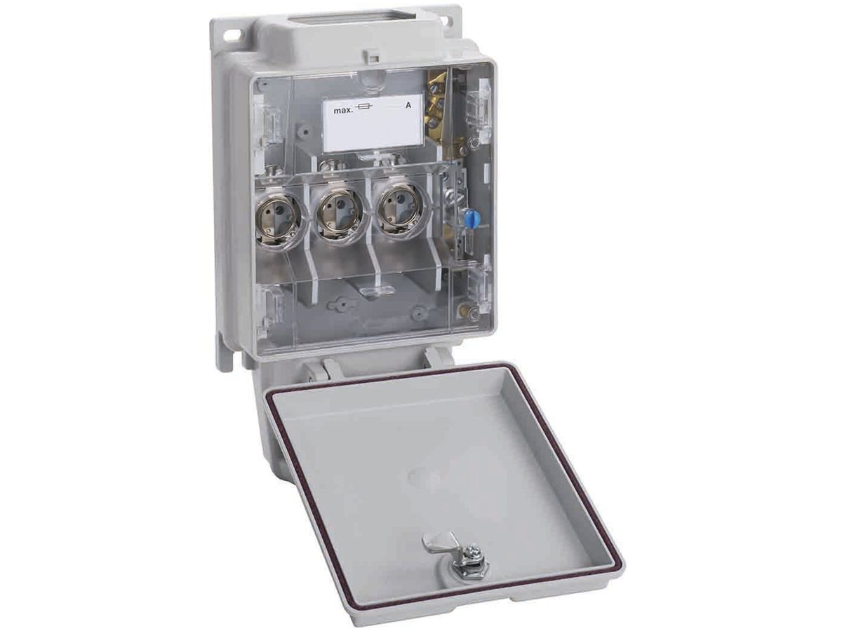 Hausanschlusskasten weber.hse25 25A ein Doppelanschluss Briden ab Briden Cu/Al
