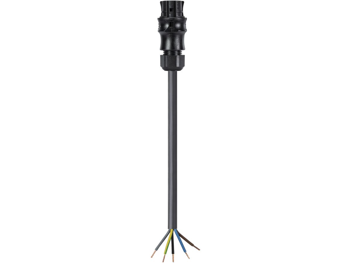 Anschlussleitung Wieland 3m 5L schwarz, Buchse-freies Leitungsende, 1.5mm²