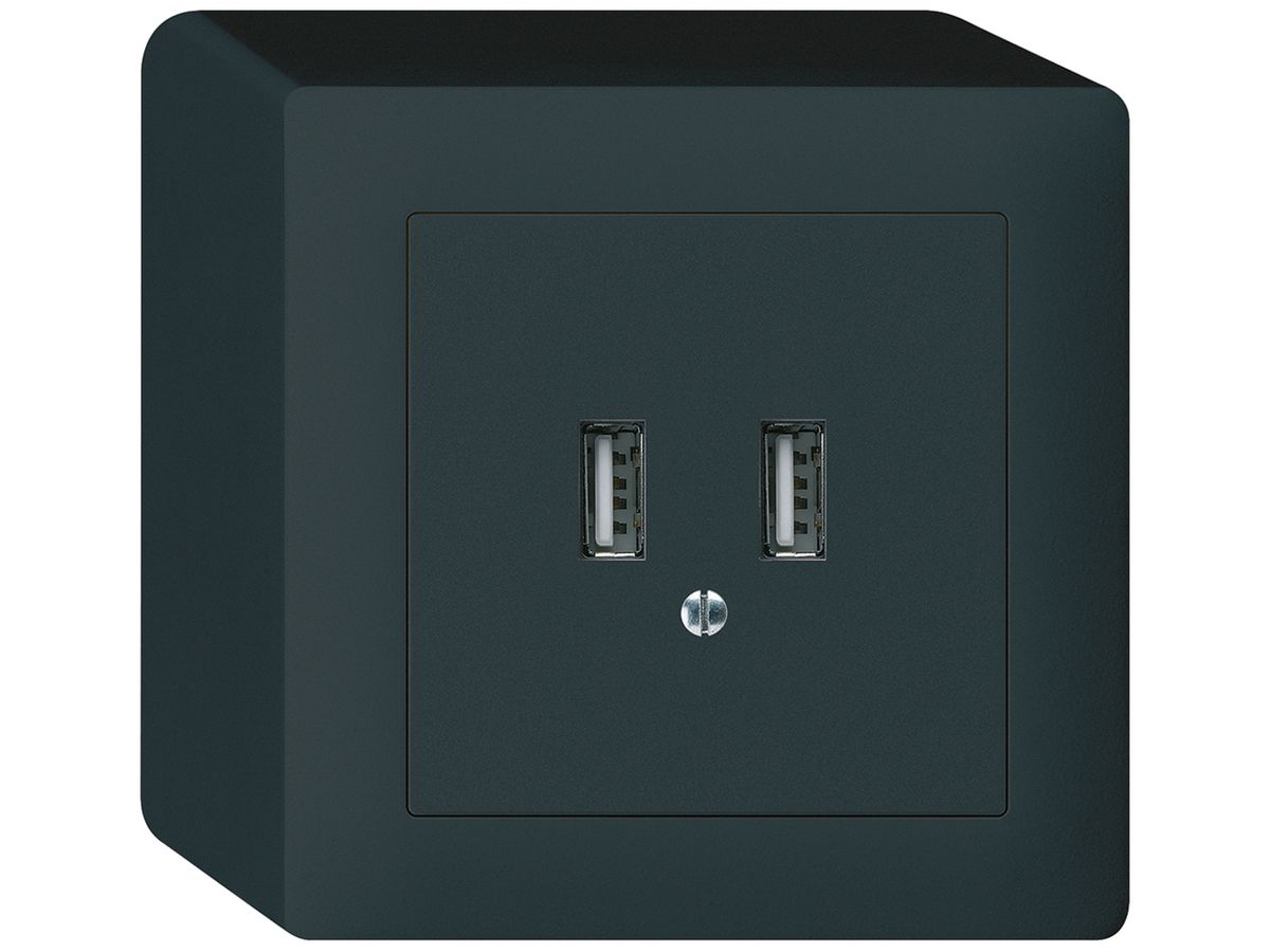 AP-USB-Ladesteckdose Hager kallysto 240V 2400mA schwarz