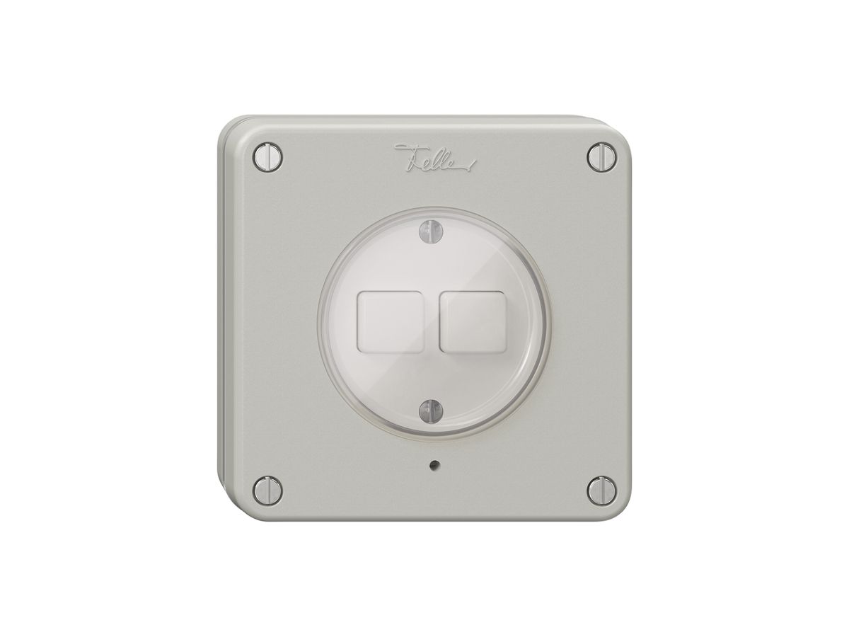 UP-Druckschalter NEVO Wiser SNAPFIX® m.Nebenstelle 2T 2B lichtgrau