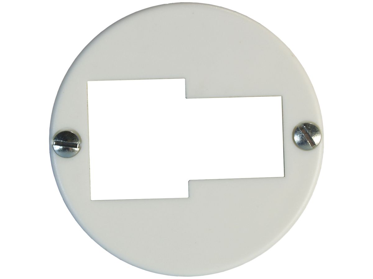 Frontscheibe 43mm 1TT/1RJ45 weiss
