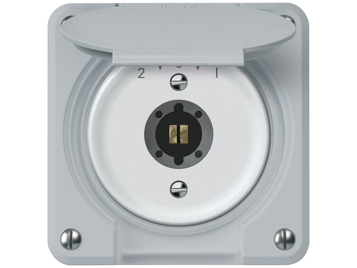 Schlüsselschwenktaster robusto 1P 2NO 2CO 20A 250V 86×86mm grau