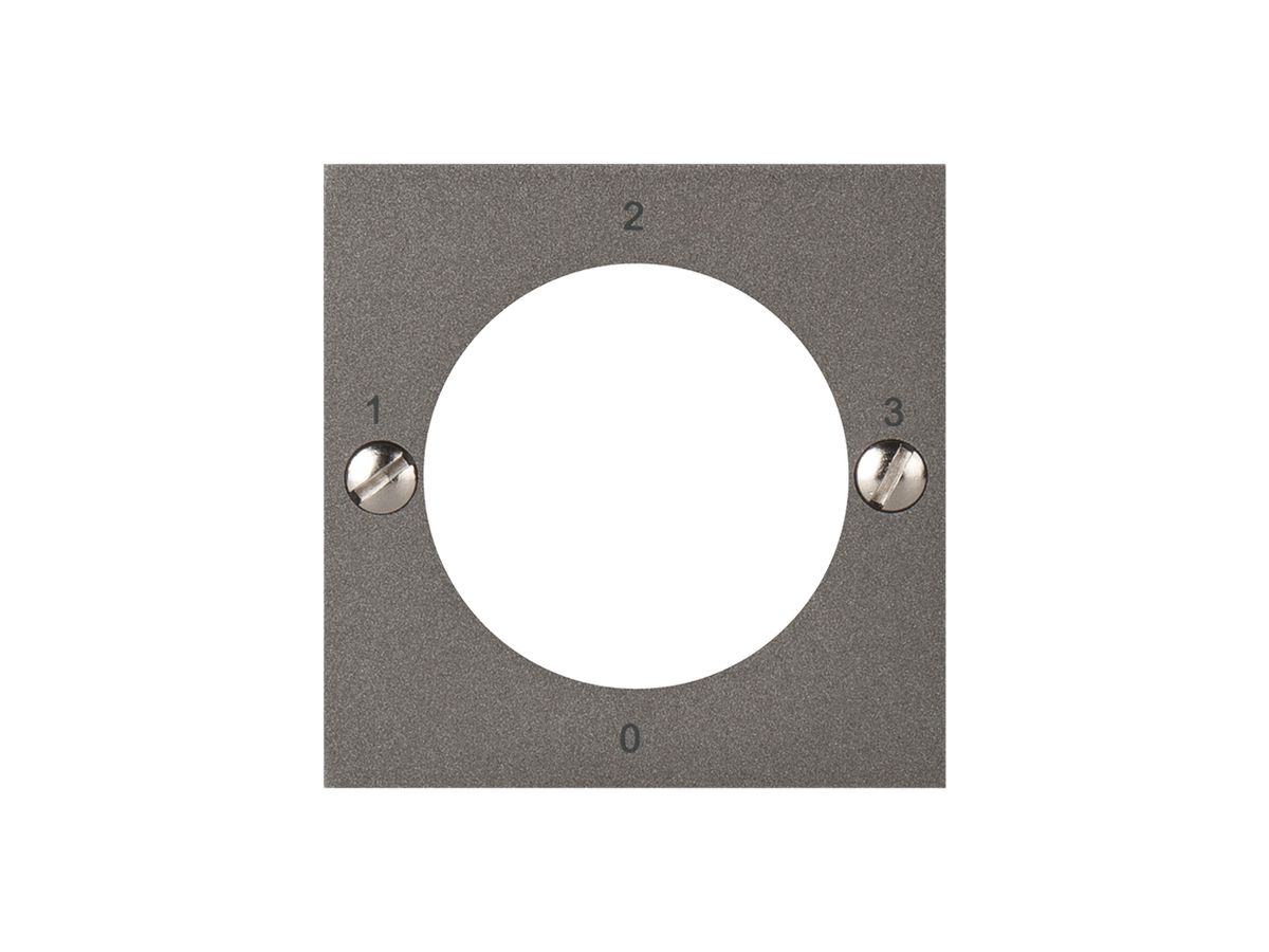 Frontplatte ATO für Schlüsseltaster 1-0-2 magnesium