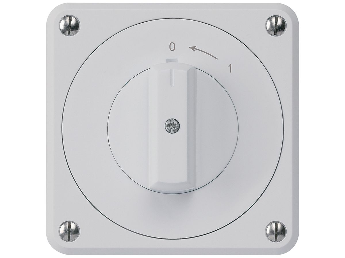 UP-Schwenktaster robusto IP55 grau 1P