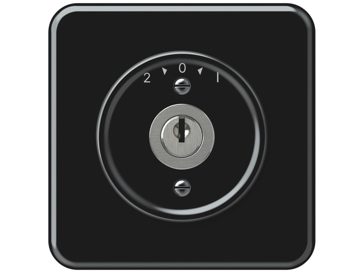 UP-Schwenktaster origin mit Zylinder 1P 2>0<1 10A 230V 92×92mm schwarz
