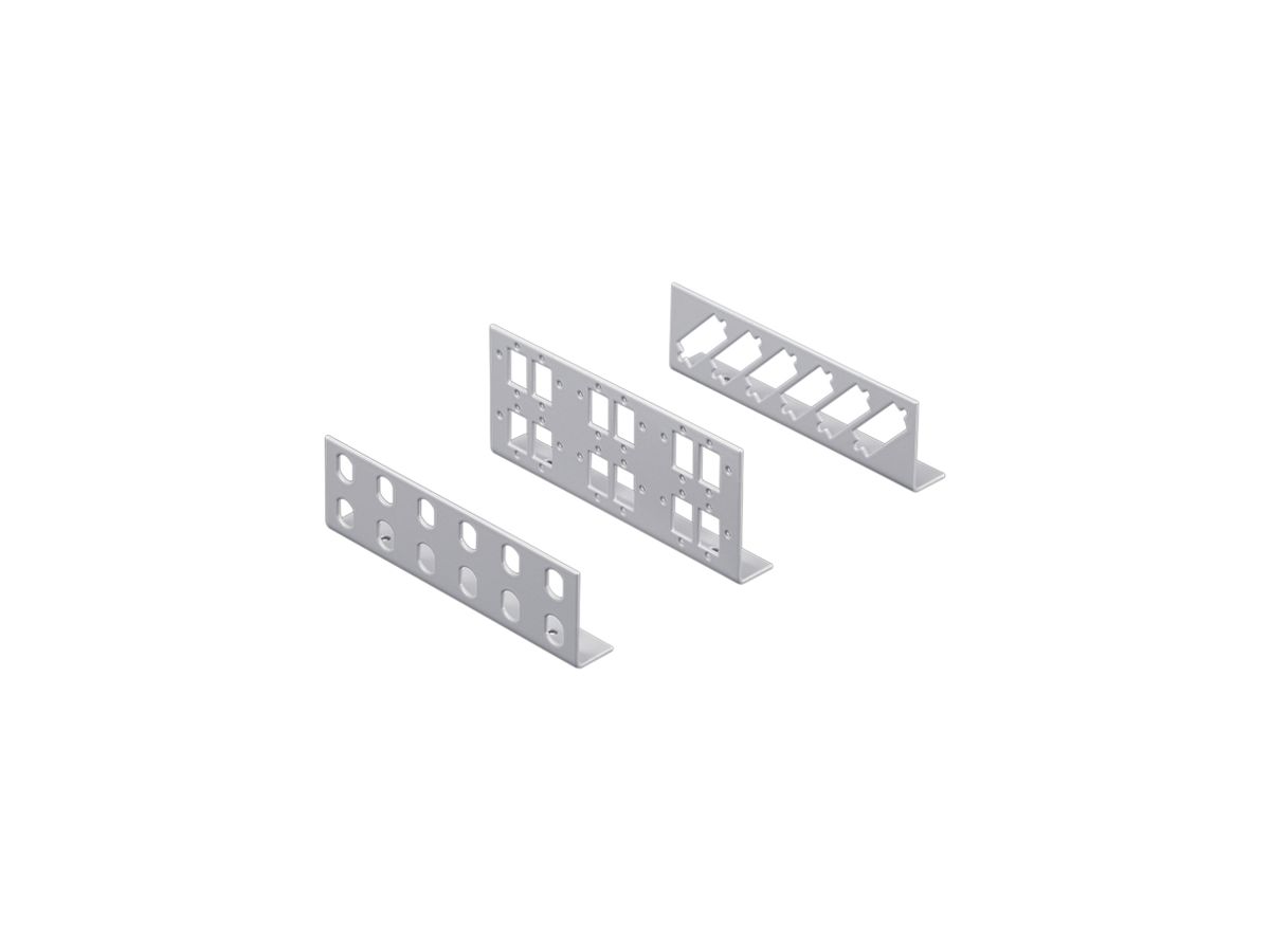 Patchpanel Rittal DK 7463.100 grau 12-Port 2Stk