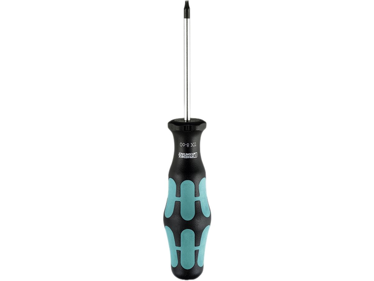 Schraubenzieher Torx T30×115mm PX mit Bohrung