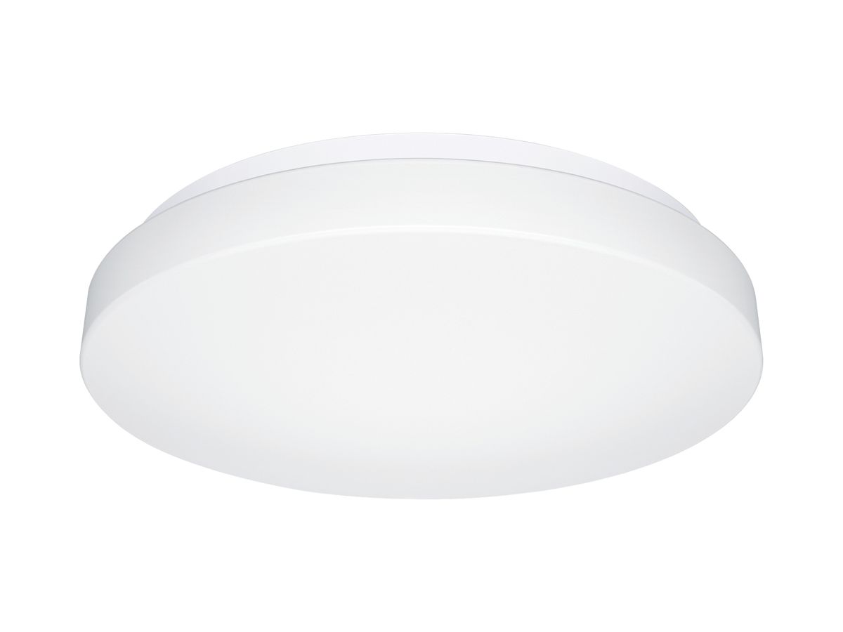 LED-Decken-/Wandleuchte Steinel RS PRO P1 flat HF Ø272mm 9.5W 1010lm 840 IP54