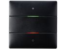 UP-Tastsensor Theben LUXORliving iON2, 2-fach, mit Temperatursensor, schwarz