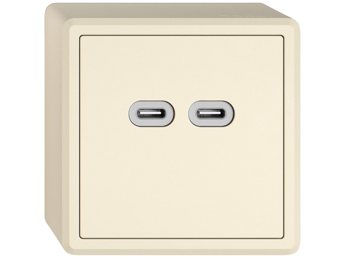 AP-USB-Ladesteckdose EDIZIO.liv SNAPFIX® 230VAC 18W 2×USB Typ C cr