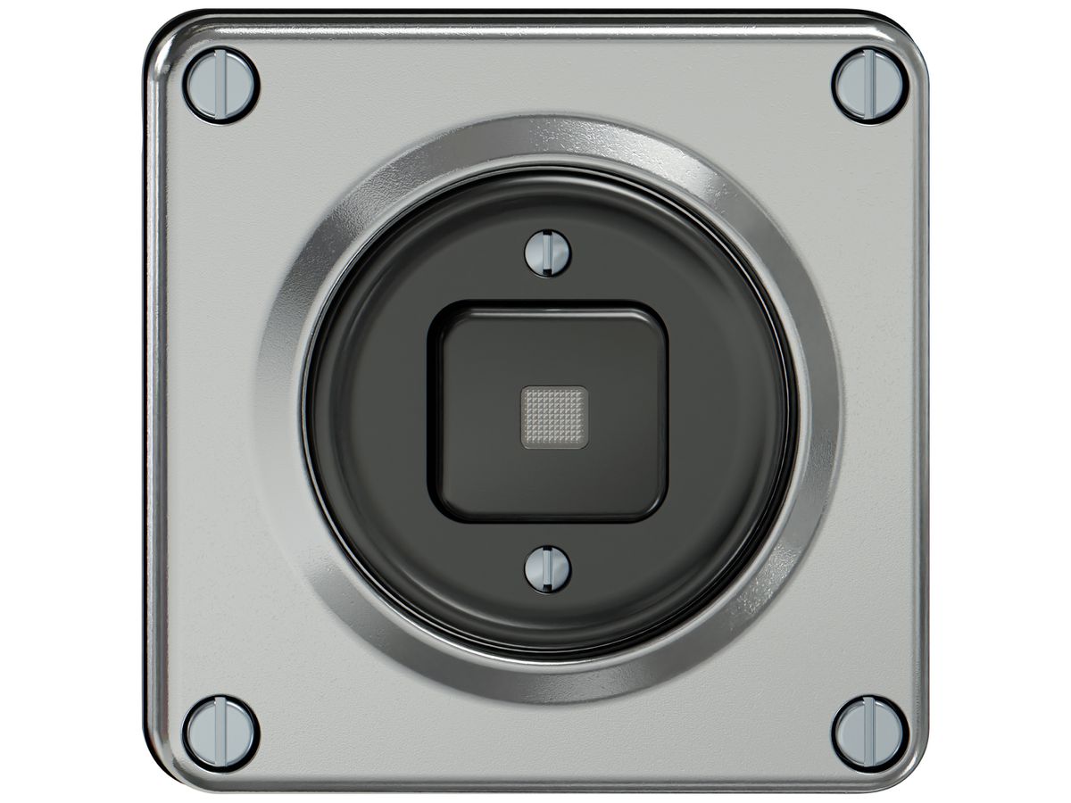 Leuchtdruckschalter ELEMENT Schema 3/2L 16A 250V LED aluminium