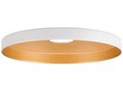 Leuchtenschirm SLV LALU PLATE Stahl Ø150×15mm weiss Gold unifarbig