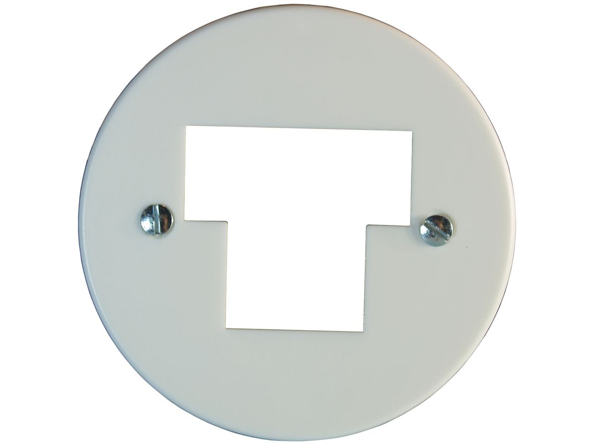 Frontscheibe 58mm 1TT/2RJ45 weiss