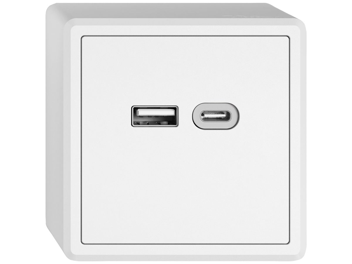 AP-USB-Ladesteckdose EDIZIO.liv SNAPFIX® 230VAC 18W 1×USB Typ A 1×USB Typ C ws