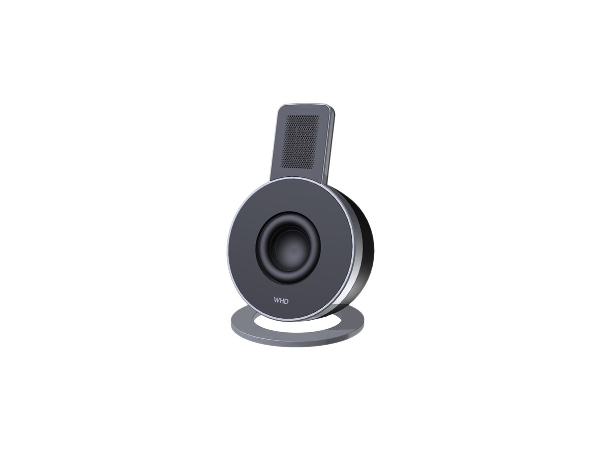 Design-Lautsprecher S 350-S schwarz Standversion