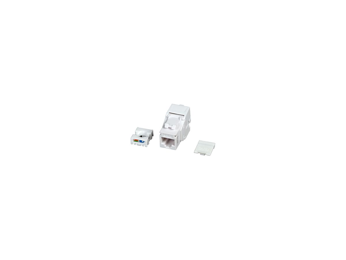 Anschlussmodul H-LINE I RJ45 Kat.6A/u ISO/IEC Keystone, weiss