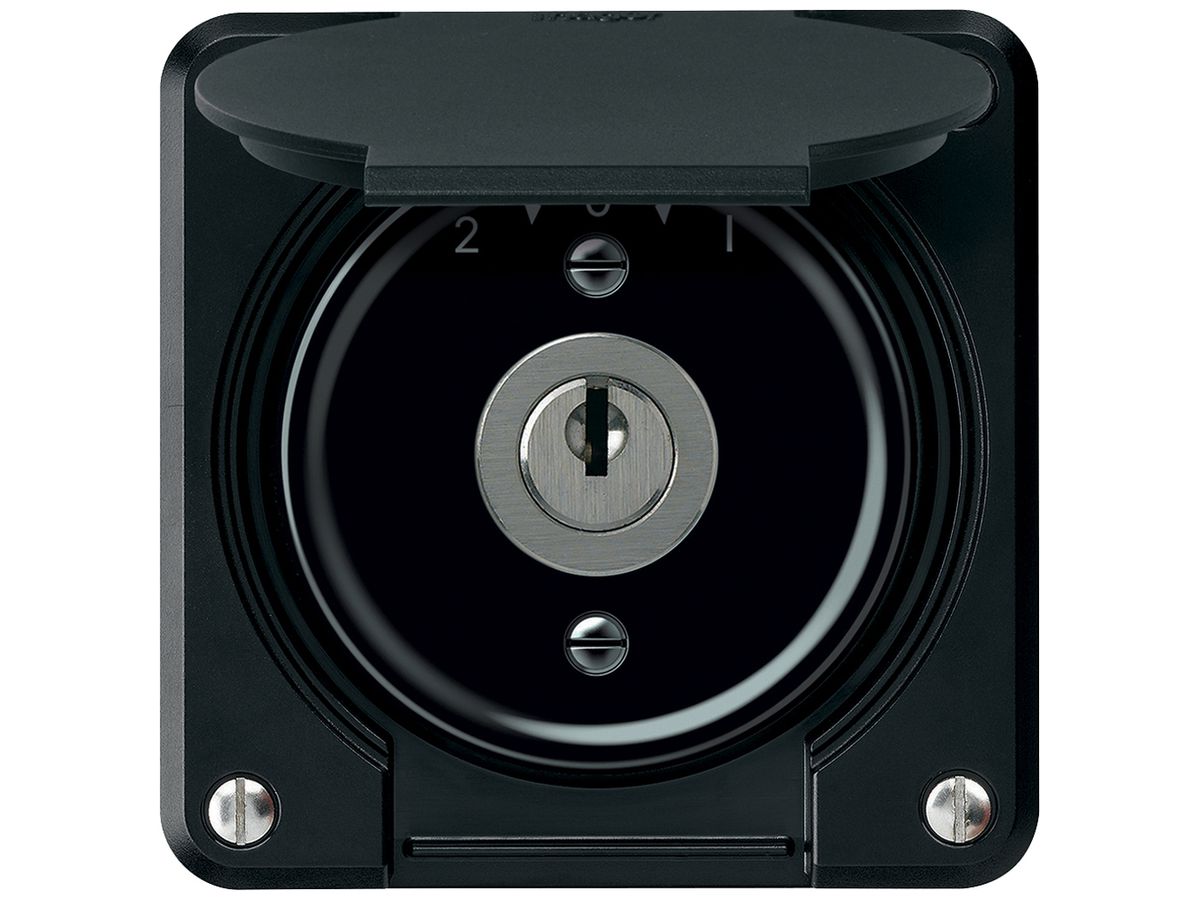 UP-Schlüsselschwenktaster robusto 1P 2NO 2CO 20A 250V 86×86mm schwarz