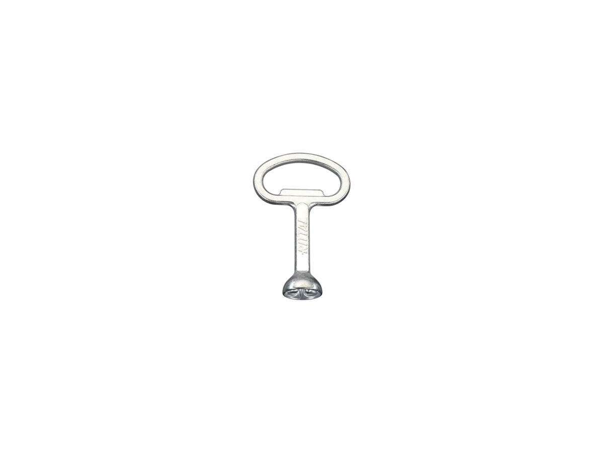 Schlüssel Rittal HD 2549.600 für Verschlusseinsatz HygienicDesign