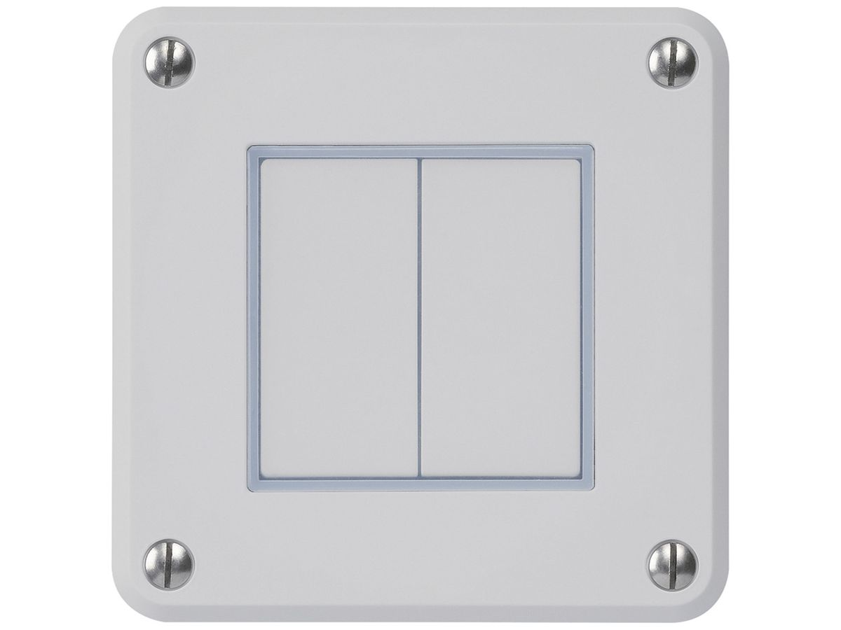 UP-Drucktaster robusto IP55 2×1P grau für Kombination