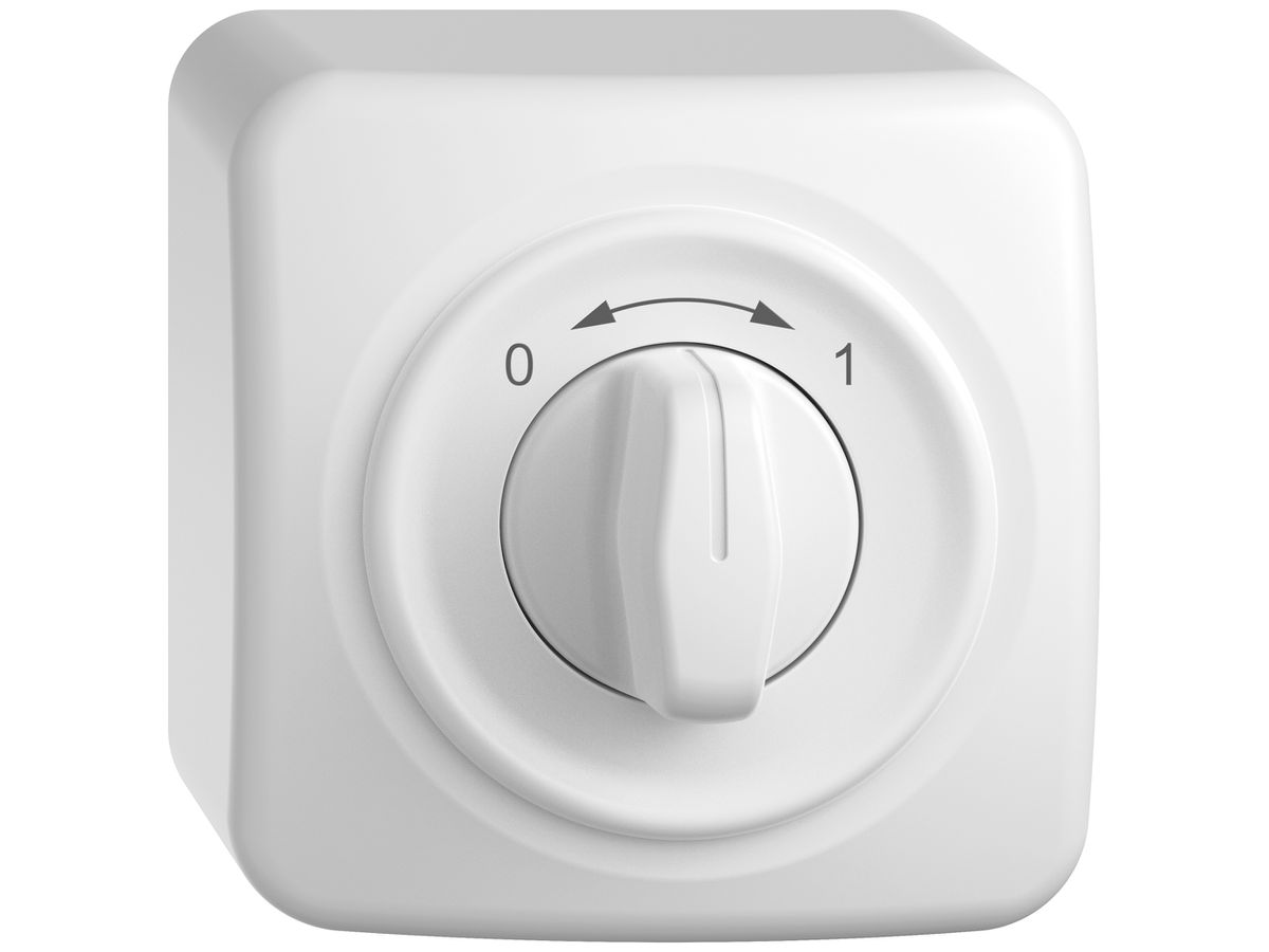 AP-Schwenktaster STANDARDdue SNAPFIX® 0<->1/1P mit Drehgriff ws