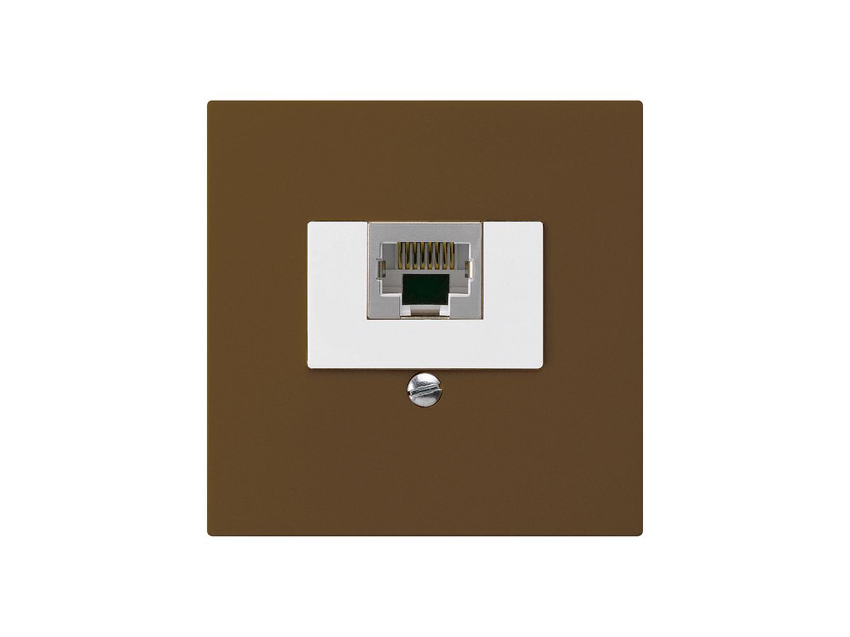 UP-Dose kallysto 1×RJ45s braun