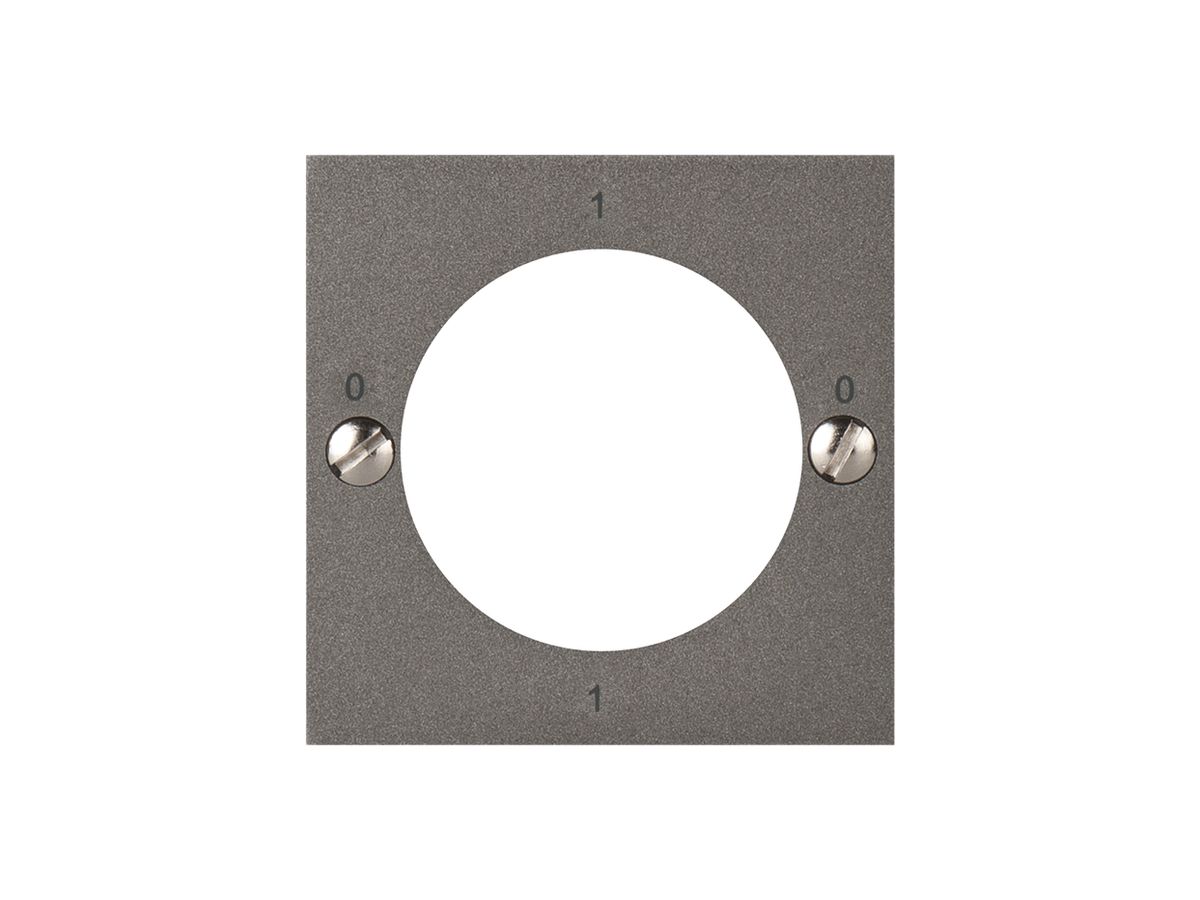 Frontplatte ATO für Schlüsselschalter 0-1-0-1 magnesium